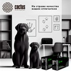 Расширение линейки тонер картриджей CACTUS для техники Ricoh, Huawei, Катюша, и других