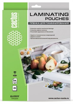 Пленка для ламинирования Cactus 80мкм A4 (25шт) глянцевая 216x303мм CS-LPGA48025 - фото 12133