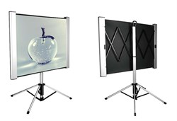  Экран Cactus 81" TriAlExpert CS-PSTALE-180X102 16:9 напольный рулонный (102x180см) - фото 12161