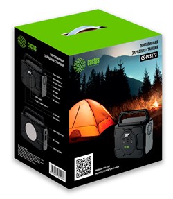 Мобильный аккумулятор Cactus CS-PCS172 48000mAh 2.1A 2xUSB черный/серый - фото 18915