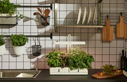 Гидропонная установка Cactus Garden 3.0л 20Вт белый (CS-LEDPOT-08) - фото 22362