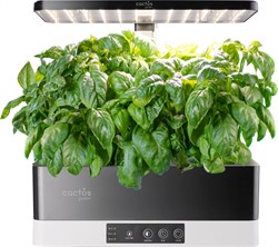 Гидропонная установка Cactus Garden 3.0л 24Вт черный (CS-LEDPOT-06) - фото 22375