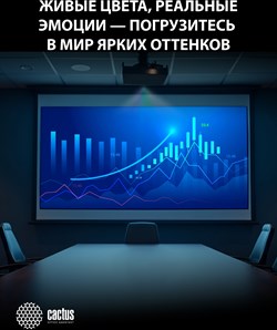 Проектор Cactus Bright CS-S4.B 3LCD 5900Lm ANSI (1920x1200) 30000:1 ресурс лампы:10000часов 1xUSB typeA 1xUSB typeB 2xHDMI 4.45кг - фото 25075