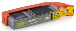 Струйный картридж Cactus CS-CLI451GY (CLI-451GY) серый для Canon Pixma iP8740, MG6340, MG6640, MG7140, MG7540 (10,2 мл) - фото 7296