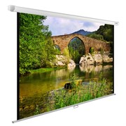 Экран Cactus WallExpert CS-PSWE-220x165-WT 109" 4:3 настенно-потолочный (220x165 см.)