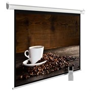 Экран Cactus MotoExpert CS-PSME-300x300-WT 169" 1:1 настенно-потолочный белый, моторизованный привод (300x300 см.)