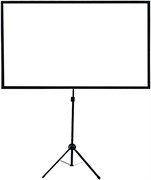 Экран на треноге Cactus X-type CS-PSTX-100x177 16:9 напольный натяжной черный (100x177 см.)