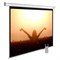 Экран Cactus MotoExpert CS-PSME-220X165-WT 109" 4:3 настенно-потолочный белый, моторизованный привод (220x165 см.)