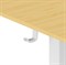 Стол для компьютера Cactus CS-ED-WTBAM столешница бамбук бежевый каркас белый, столешница 120x60 см - фото 23856